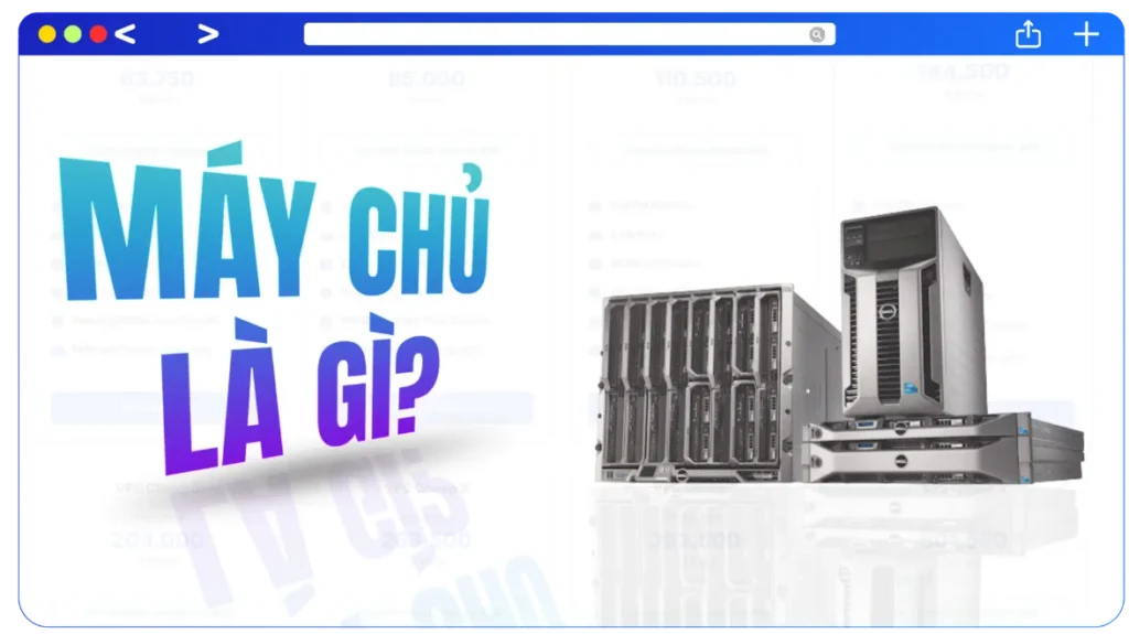 thuê máy chủ